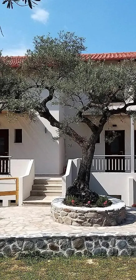 Dionysus Suites Ierissós 0*,